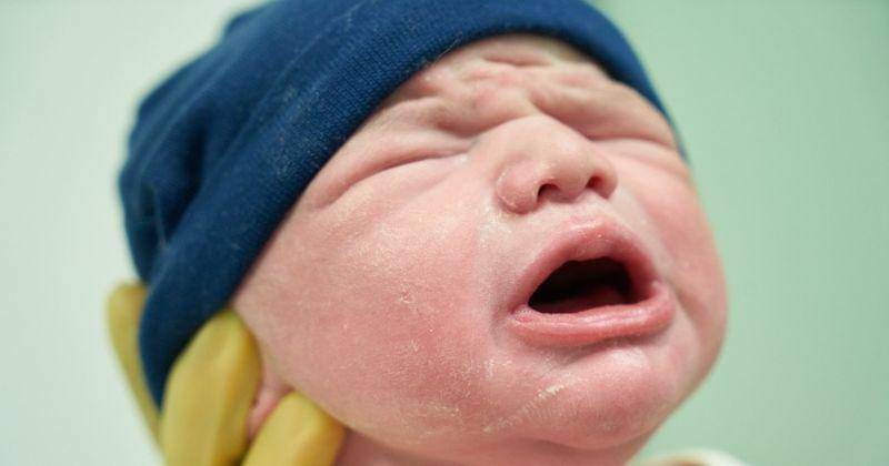 Freepik/Engin_Akyurt